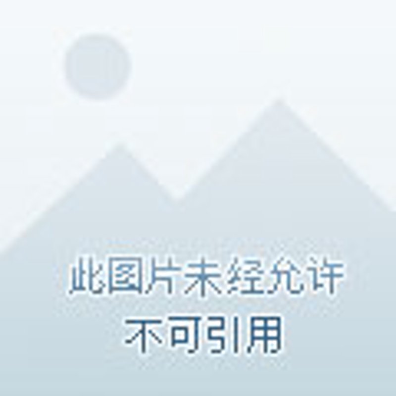 婚礼中的优雅礼仪：一场美好记忆的承载